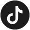 Seguici su Tik Tok
